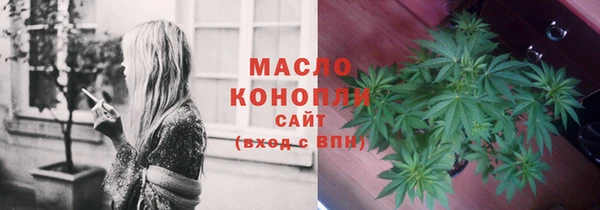 гидра Вязники