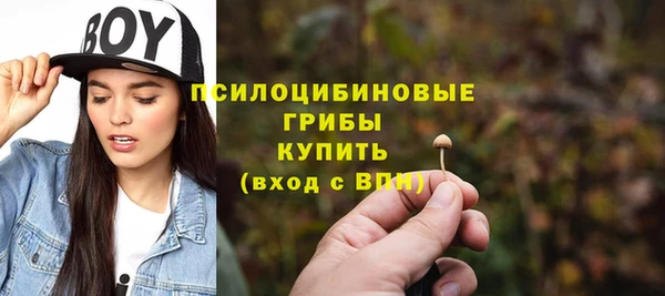 ПСИЛОЦИБИНОВЫЕ ГРИБЫ Волоколамск