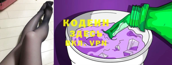 шишки Вяземский