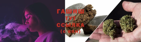 гидра Вязники