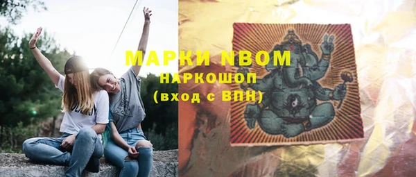 гидра Вязники