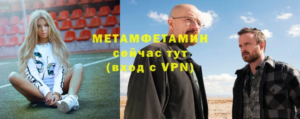 шишки Вяземский