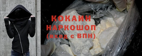 шишки Вяземский